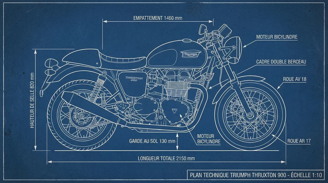 Infographie technique de la Triumph Thruxton 900 avec dimensions